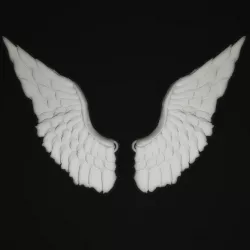 Angel Wings 3D print model