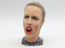 Ashley Wagner s Olympic Angry Face 3D print model