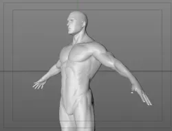 AWARD MODEL Free 3D model