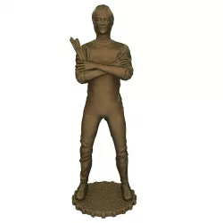 Bruce Lee 3D print model