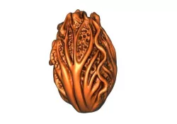 Chinese cabbage 3D print model