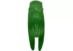 Cicada 3D print model