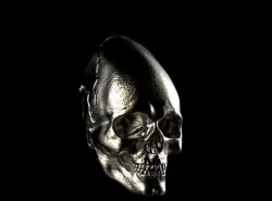 Conehead 3D print model