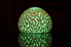 corail lamp 3D print model