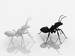 Detailed ant 3D print model