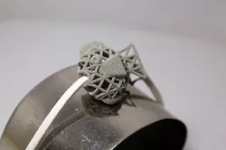 Fishy evolution 3D print model