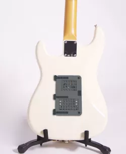 Guitar Backplate Dungeon Door 3D print model