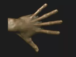 hand reference 3D print model