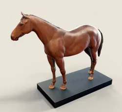 Horse 3D print model