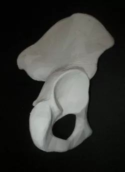 Human Hip Bone-Right one piece 3D print model