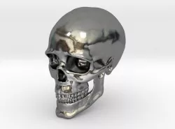 Human Skull 3D print model