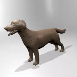 Labrador 3D print model