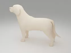 Labrador Retriever 3D print model