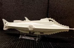 Nautilus 3D print model