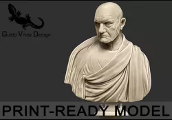 Printable bust of Roman Empire Consul 3D print model