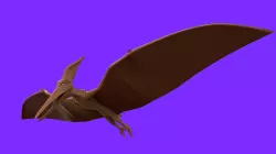 Pterodactyl 3D print model