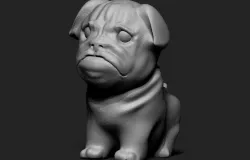 Pug Dog 3D print model