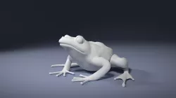 Rana Temporaria Frog for 3D printing 3D print model