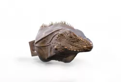 Reptile head 3D print model