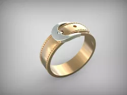Ring Belt 3D print model
