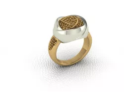 Ring-dam 3D print model