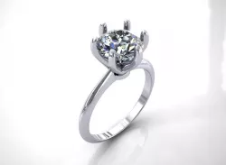 Ring Model 3D print model