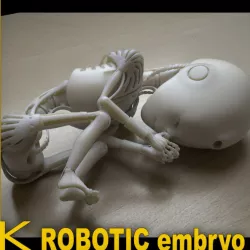 Robot 01 embryo 3D print model
