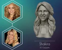 Shakira  3d bust 3D print model