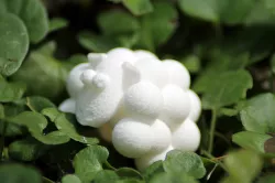 Sheepy 3D print model