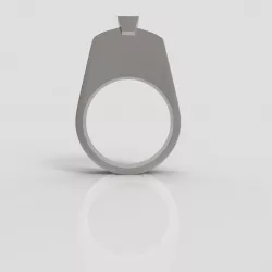 Silver Ring 3D print model