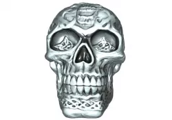 Skull 3D print model