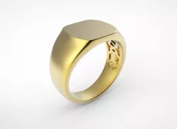 Stamp ring  3D print model