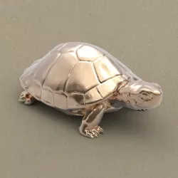 Turtle 3D print model