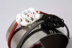 Turtly evolution 3D print model