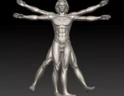 Vitruvian Man  High For 3D Printing 3D print model