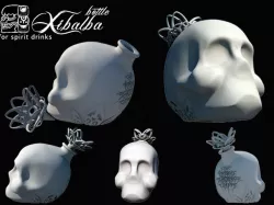 Xibalba Bottle 3D print model