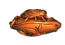 Cicada2 3D print model
