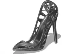 Complex 2 Shoes 3D print model