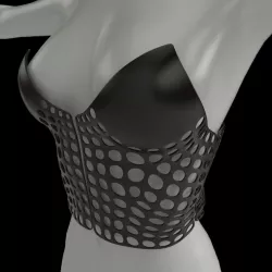 Dress CRS 3D print model