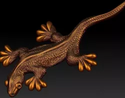 Lizard  3D print model