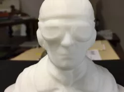 Pilot 3d model