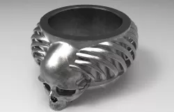 Ring Cage 3D print model