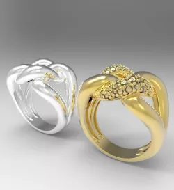 Ring FF 3D print model