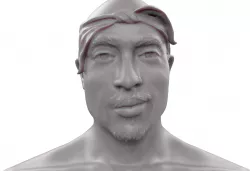2 Pac 3D print model