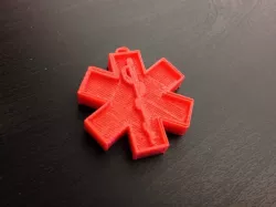 EMS Keychain