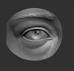 Eye reference 3D print model