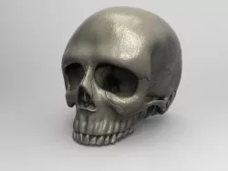 Ultra realistic human skull 3D print model