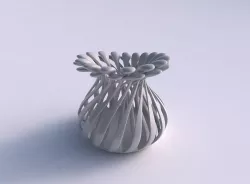 Vase curved with twisted muscle structure and soft tips eccen... 3D print model