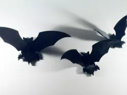 3D Bats
