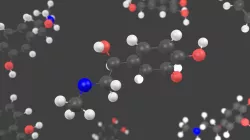 Adrenalin molecule - Model 3D model